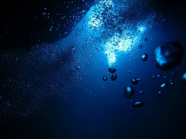  水生环境 